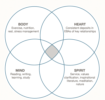 Leadership, Execution, Sales, Effectiveness, Productivity, Training and